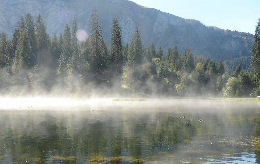 Location de vacances - Studio à Morzine