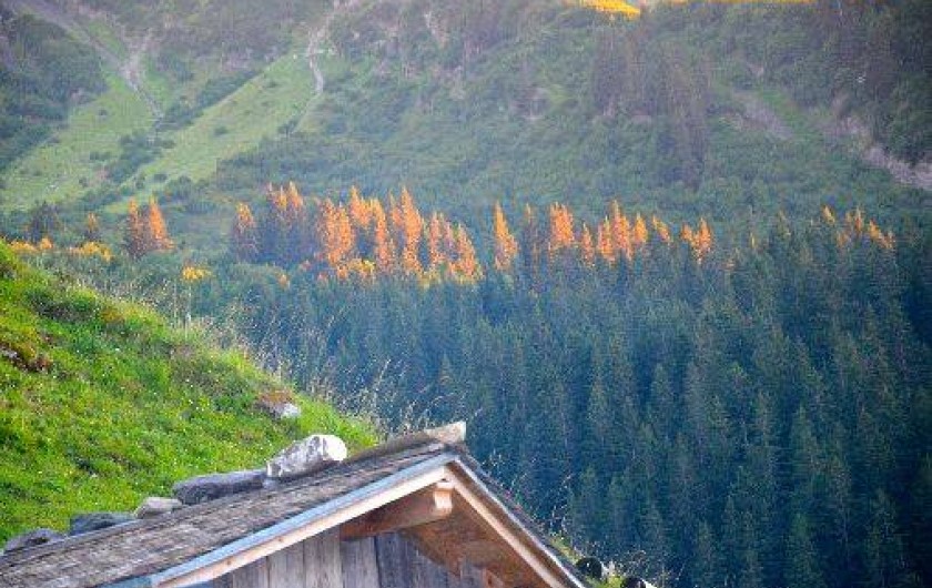 Location de vacances - Studio à Morzine