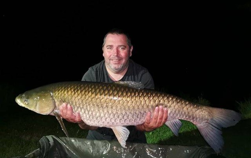 Location de vacances - Chalet à Miallet - Une carpe  amour blanc