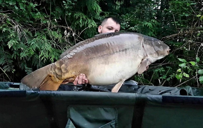 Location de vacances - Chalet à Miallet - une carpe