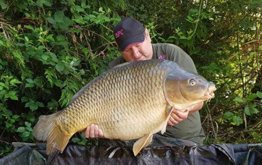 Location de vacances - Chalet à Miallet - une carpe commune