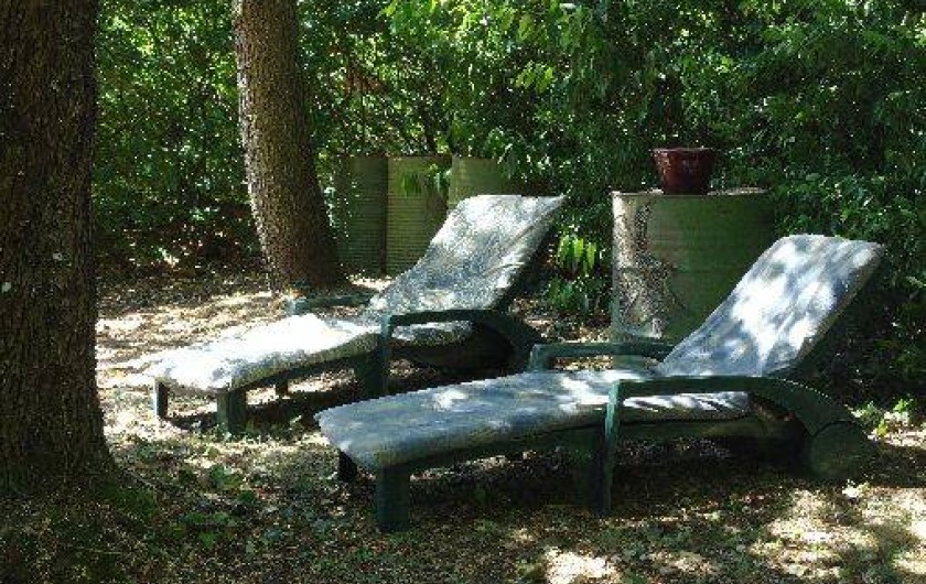 Location de vacances - Chalet à Fontiers-Cabardès