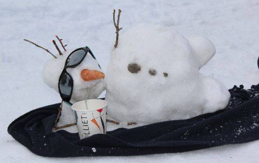 Location de vacances - Hôtel - Auberge à Manigod