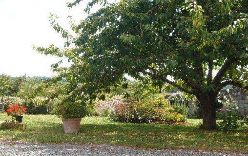 Location de vacances - Gîte à Nieul-sur-l'Autise