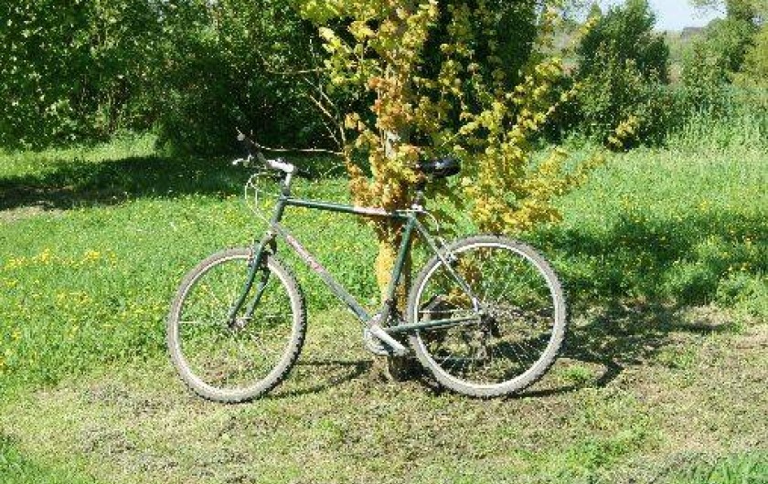 Location de vacances - Gîte à Saint-Mars-sous-Ballon - possibilité de location de vt sur demande