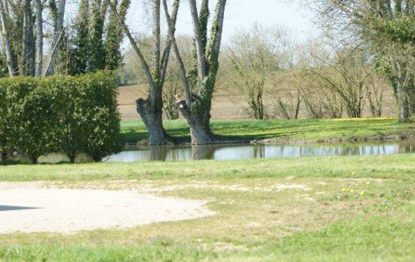 Location de vacances - Gîte à Saint-Mars-sous-Ballon - vue sur la mare