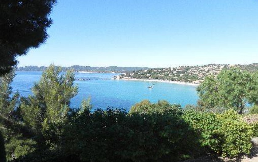 Location de vacances - Villa à Le Lavandou