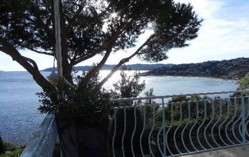 Location de vacances - Villa à Le Lavandou