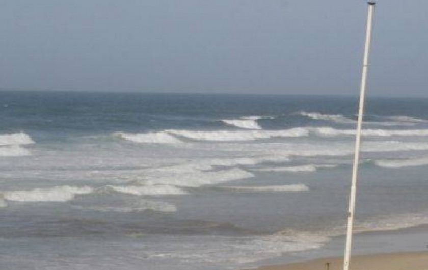 Location de vacances - Maison - Villa à Lacanau