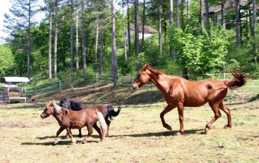 Location de vacances - Gîte à Saint-Chamarand