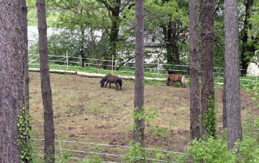 Location de vacances - Gîte à Saint-Chamarand