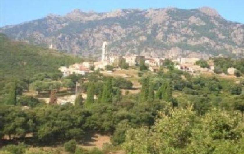 Location de vacances - Studio à Soveria