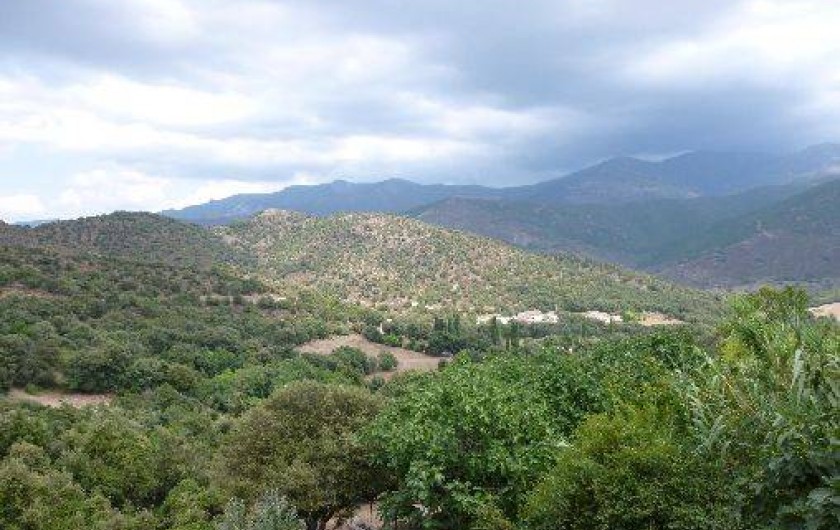 Location de vacances - Studio à Soveria