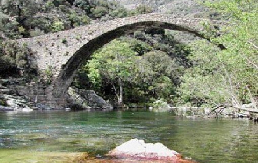 Location de vacances - Studio à Soveria