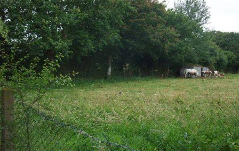 Location de vacances - Gîte à Marchésieux