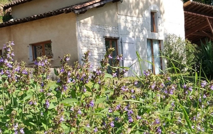 Location de vacances - Gîte à Labastide-de-Penne - extérieur