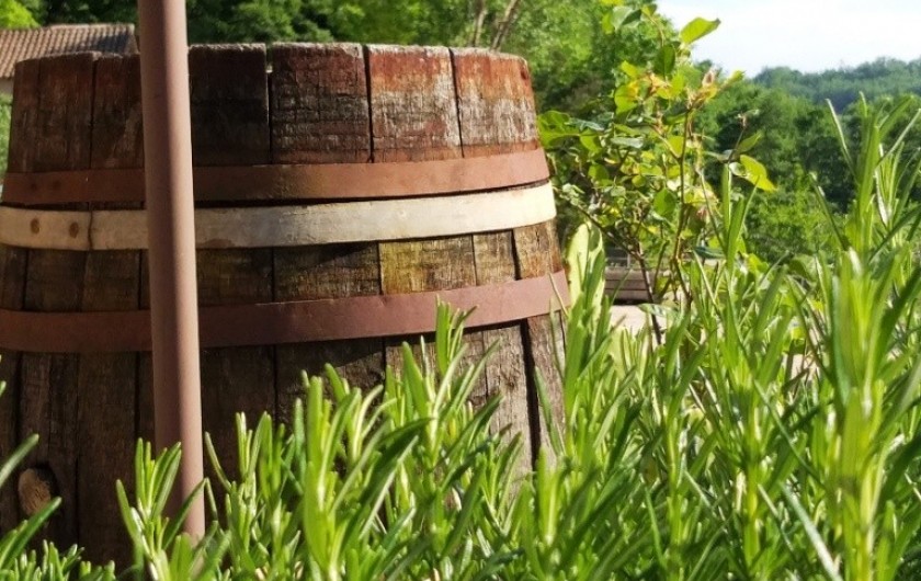 Location de vacances - Gîte à Labastide-de-Penne - extérieur
