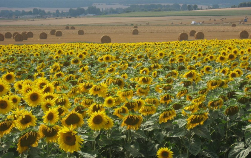 Location de vacances - Chambre d'hôtes à Heurtevent - Notre Region