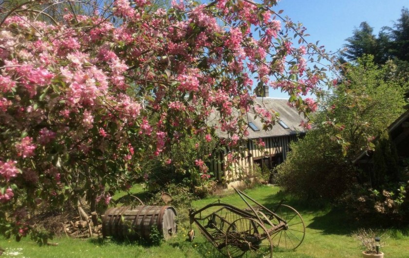 Location de vacances - Chambre d'hôtes à Heurtevent - Printemps
