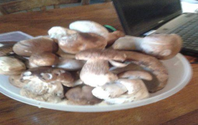 Location de vacances - Gîte à Saint-Julien-des-Chazes