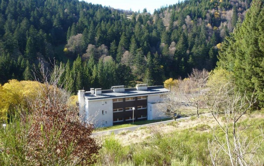 Location de vacances - Studio à Le Lioran - dans son écrin l'été