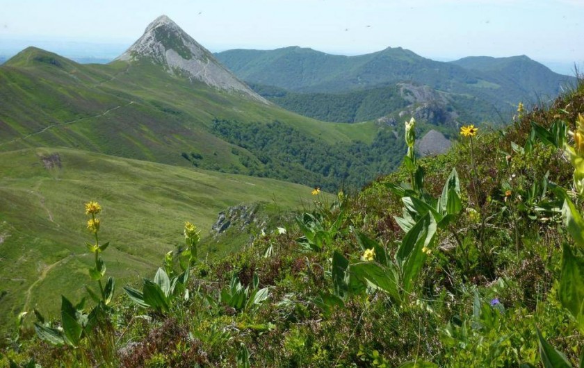 Location de vacances - Studio à Le Lioran - le puy griou et la gentiane