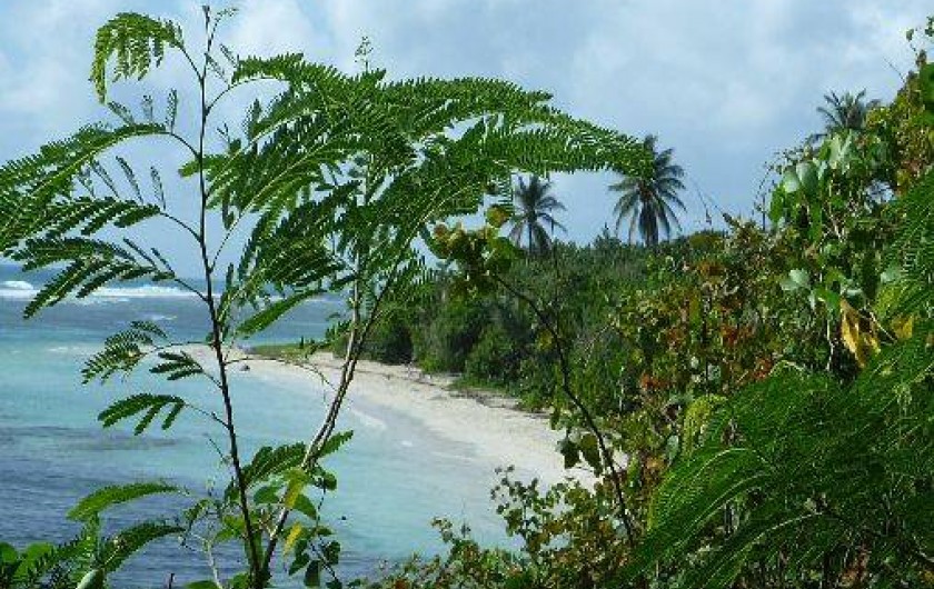 Location de vacances - Gîte à Sainte-Anne