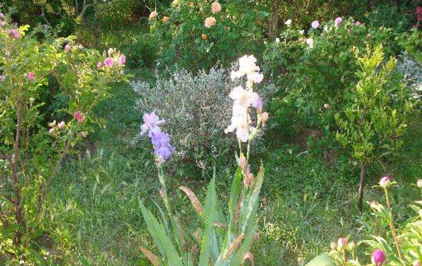 Location de vacances - Studio à Eyragues