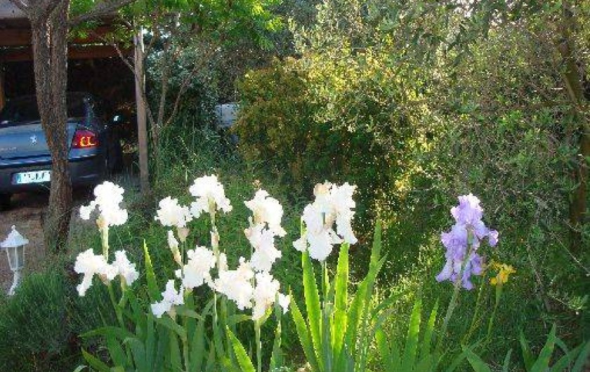 Location de vacances - Studio à Eyragues