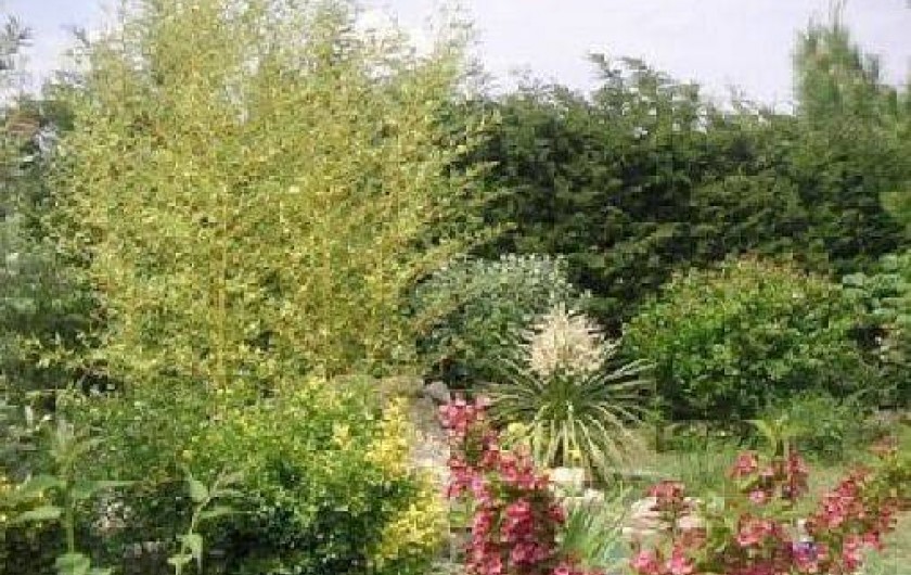 Location de vacances - Studio à Eyragues