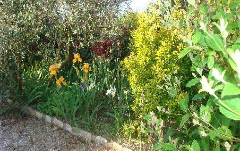 Location de vacances - Studio à Eyragues