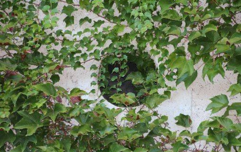 Location de vacances - Gîte à Valence-sur-Baïse