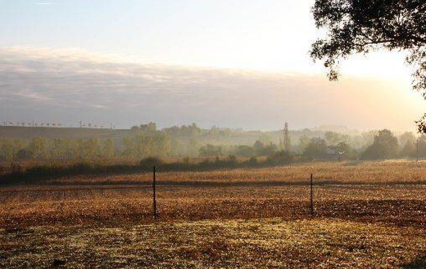 Location de vacances - Gîte à Valence-sur-Baïse