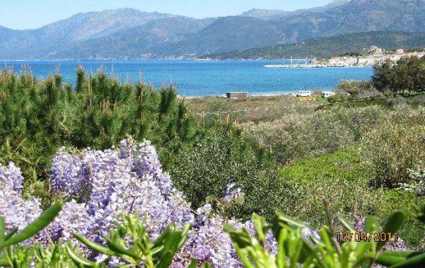 Location de vacances - Appartement à Saint-Florent