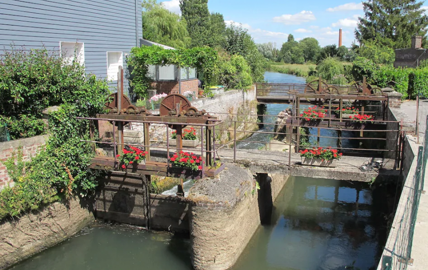 Location de vacances - Appartement à Hallines