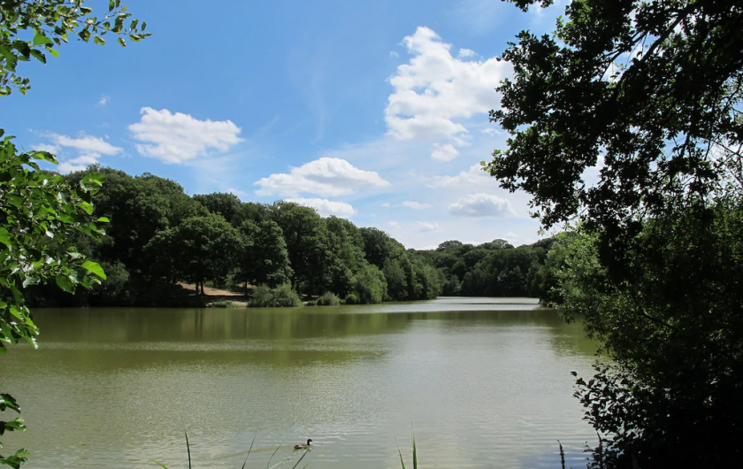 Location de vacances - Appartement à Hallines