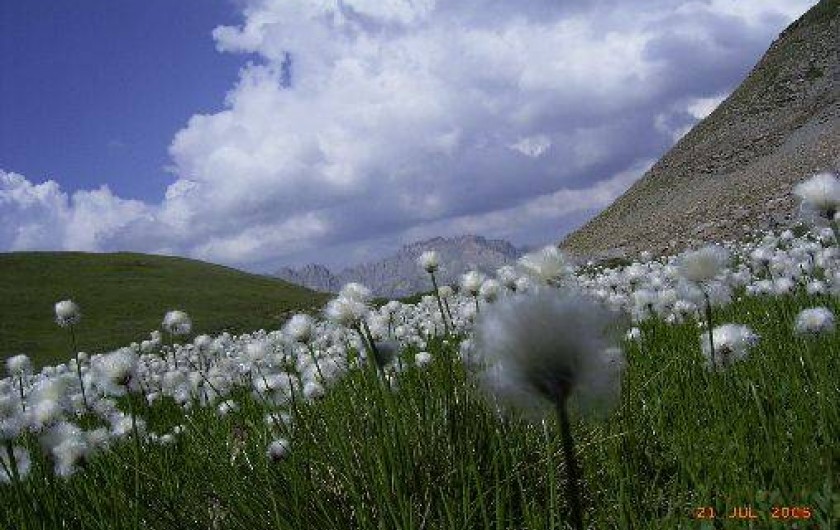 Location de vacances - Appartement à Valloire