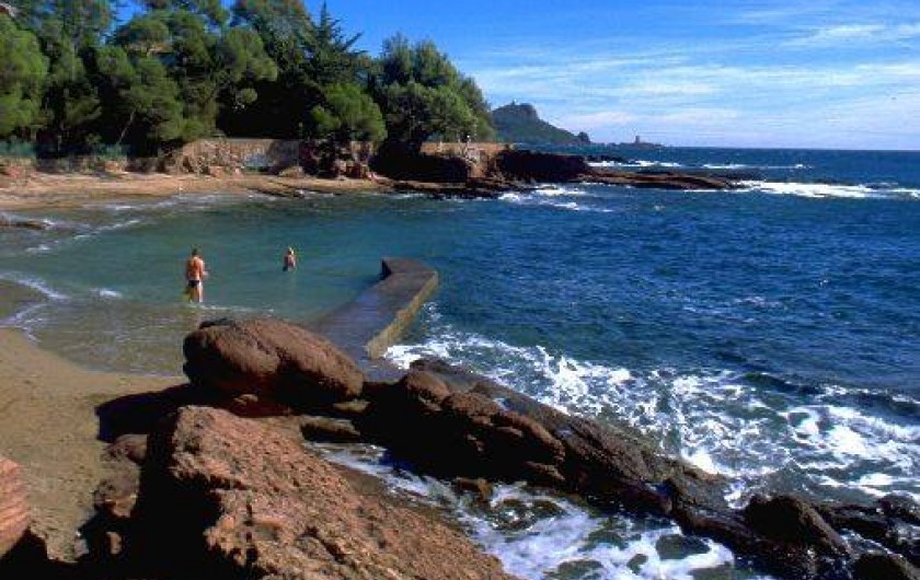 Location de vacances - Appartement à Saint-Raphaël