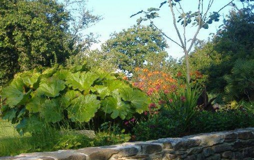 Location de vacances - Maison - Villa à Plouër-sur-Rance