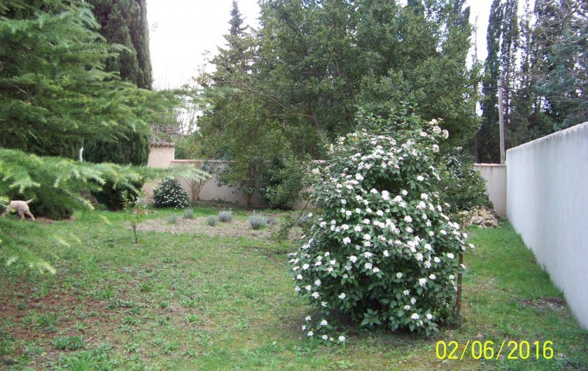 Location de vacances - Mas à L'Isle-sur-la-Sorgue