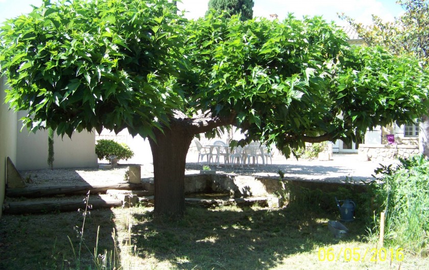 Location de vacances - Mas à L'Isle-sur-la-Sorgue