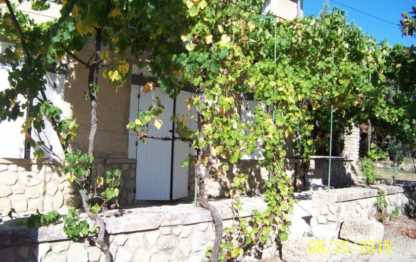Location de vacances - Mas à L'Isle-sur-la-Sorgue