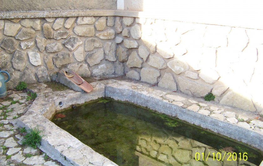 Location de vacances - Mas à L'Isle-sur-la-Sorgue