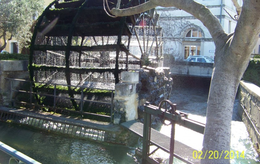 Location de vacances - Mas à L'Isle-sur-la-Sorgue