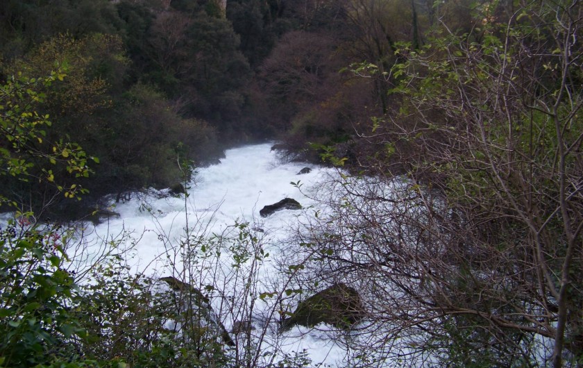 Location de vacances - Mas à L'Isle-sur-la-Sorgue