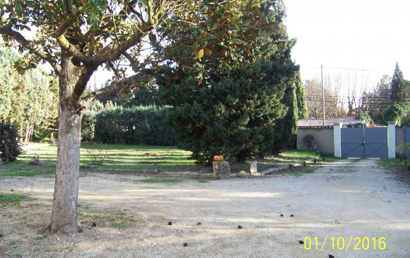 Location de vacances - Mas à L'Isle-sur-la-Sorgue