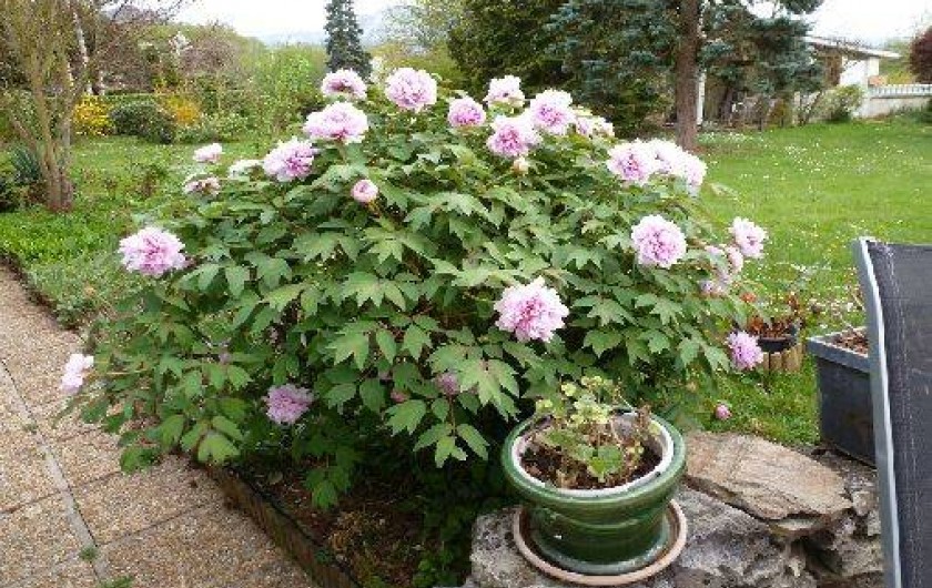 Location de vacances - Maison - Villa à Saint-Laurent-en-Royans