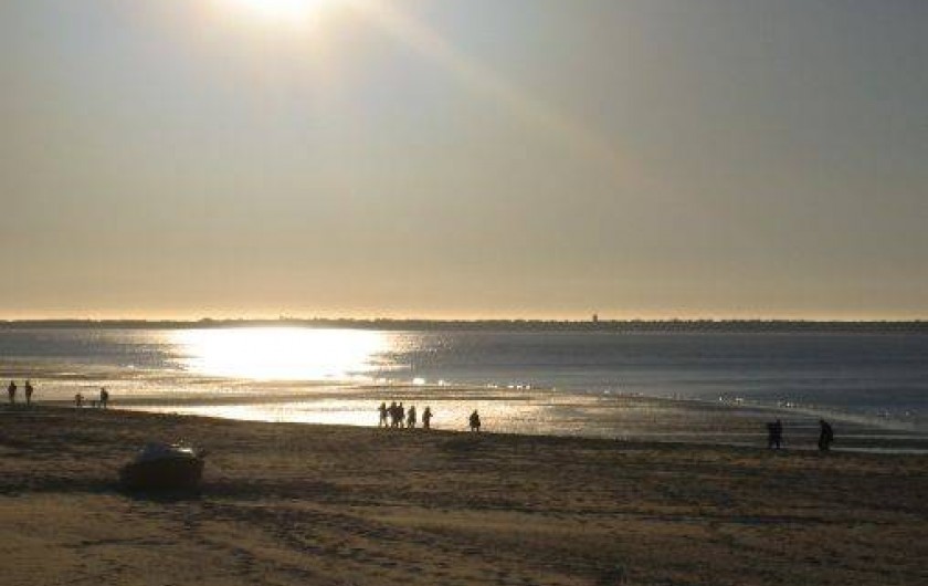Location de vacances - Villa à Arcachon