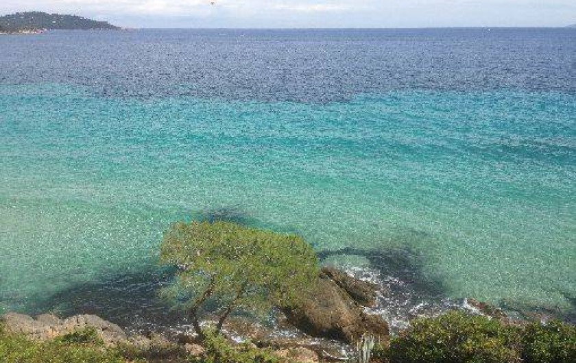 Location de vacances - Appartement à Le Lavandou