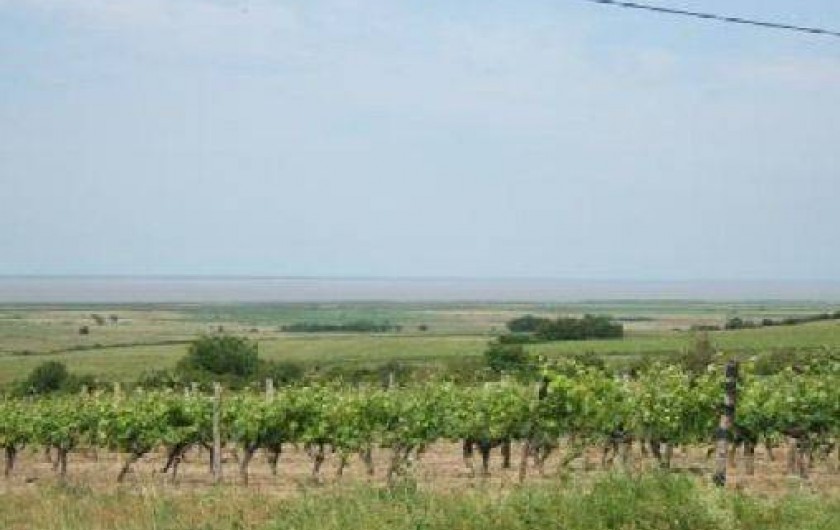 Location de vacances - Gîte à Saint-Dizant-du-Gua